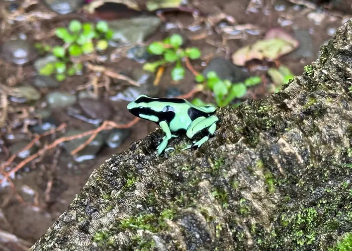 La Diosa Nature Lodge